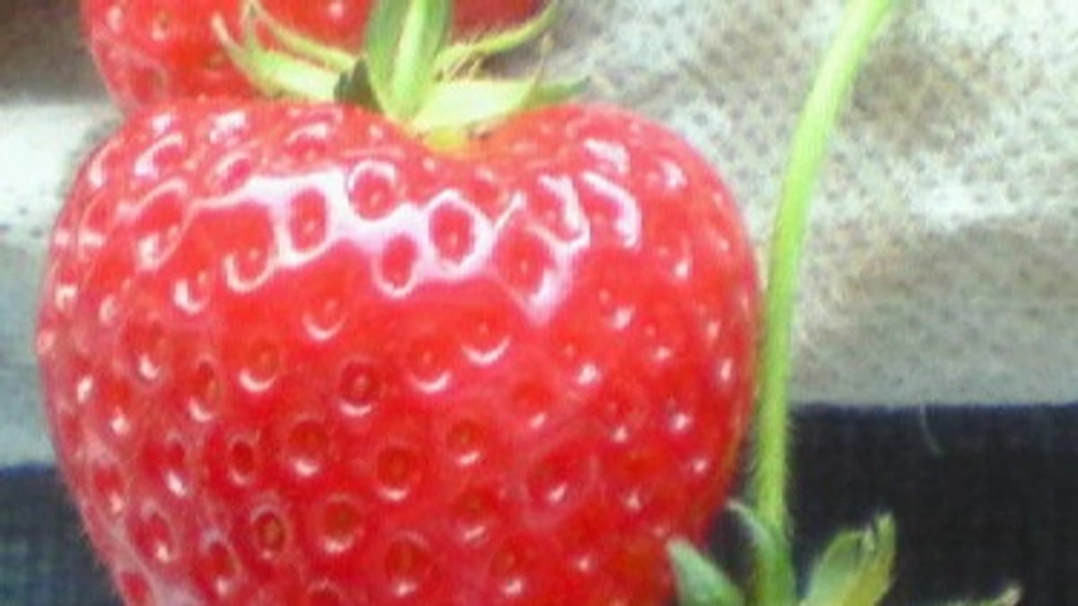 残り7日！ラストスパートです