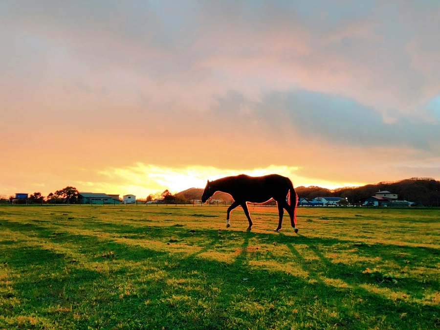 ネクストゴール挑戦中です！