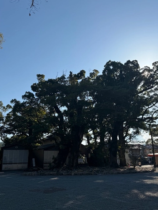 【残り7時間】間もなく終了となります