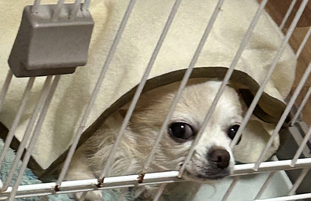 クラファン残り69時間となりました💦代理支援分反映させていただきました🙇‍♀️