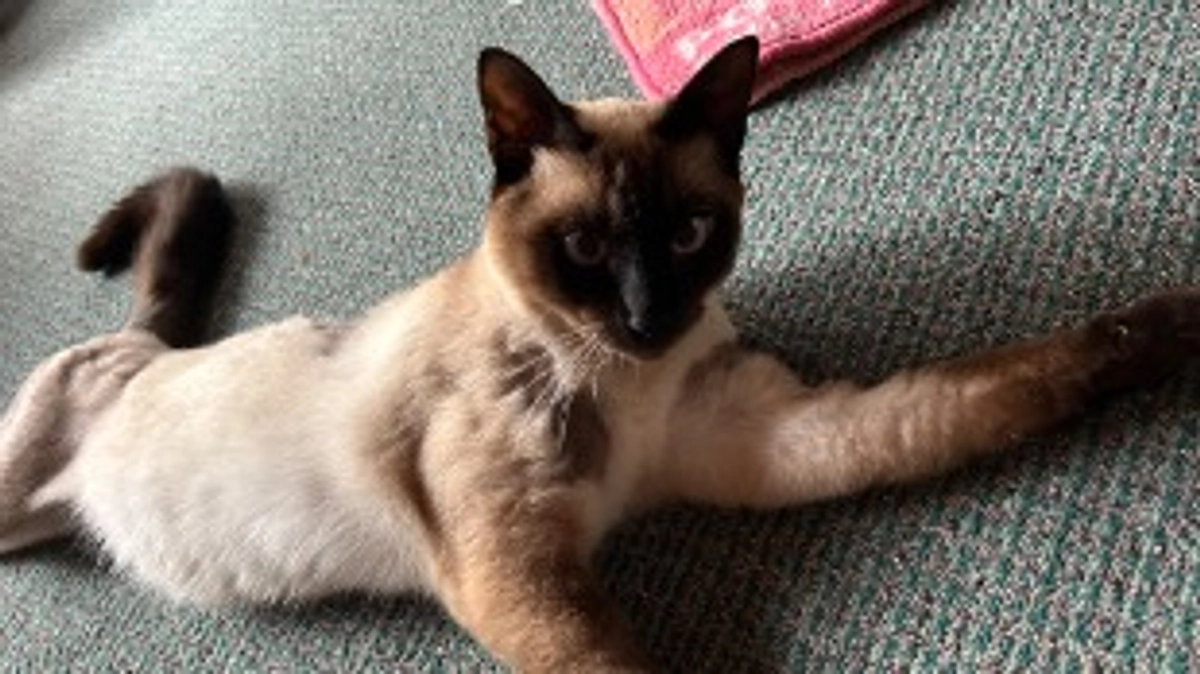 クラウドファンディング達成しました😭