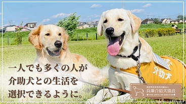 1人でも多くの人に介助犬を届けたい！大阪での活動拠点開設にご支援を のトップ画像