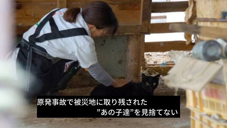 立ちはだかる冷たいゲート。その先にある命を守る車が廃車の危機