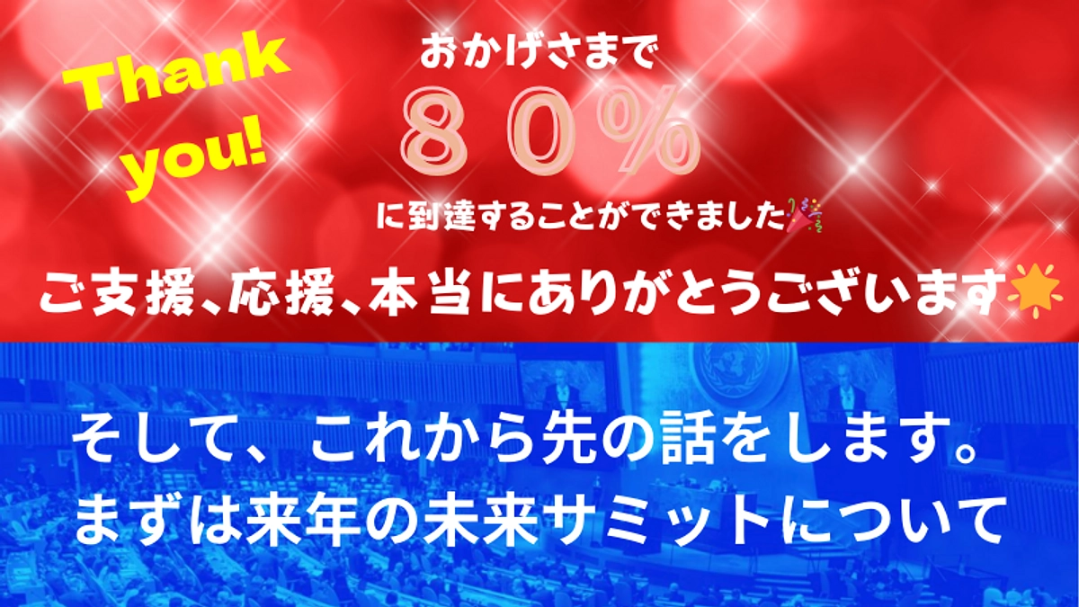 🌟80%達成感謝🌟【今後の活動予定１】2024年未来サミットへの提言策定と、コアリション編成
