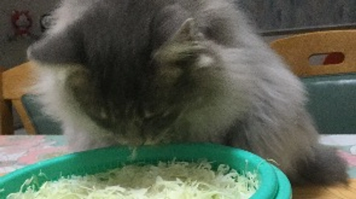 目標達成しましたああああ😭