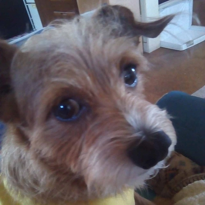 NEXTゴールまであと1日　ご支援お願い申し上げます