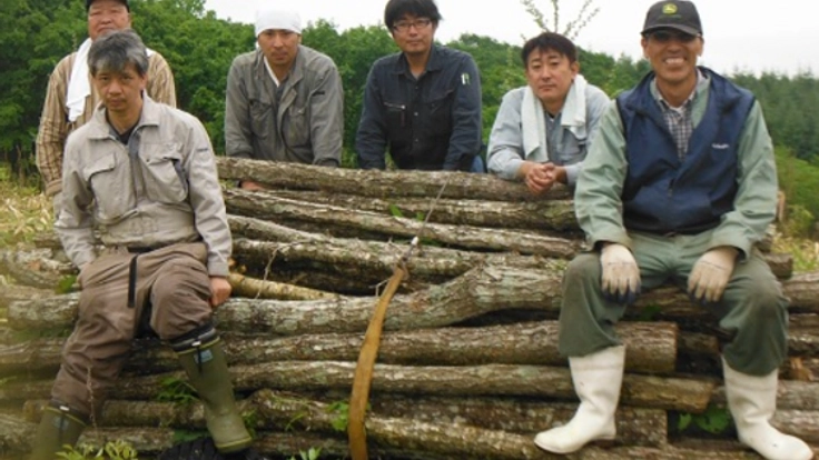 北海道十勝、池田町の製炭業を守るため森の管理人を増やしたい！
