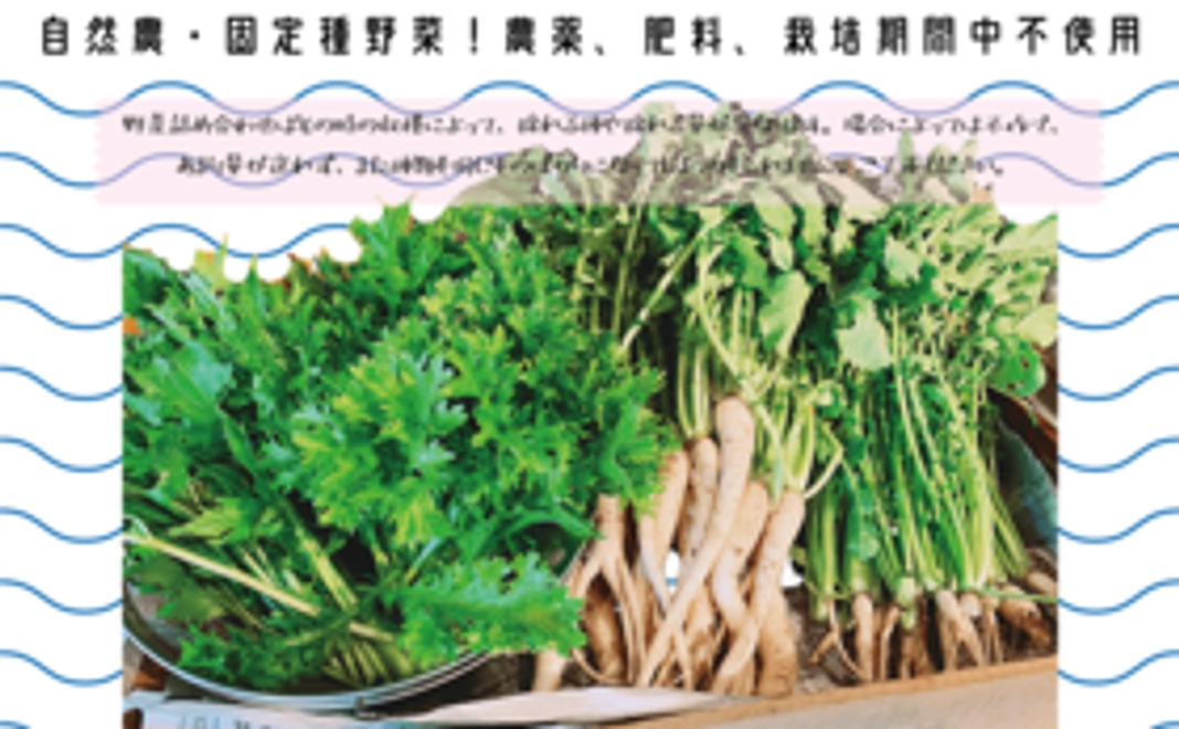 【固定種野菜プラン】自然農法 固定種野菜セット