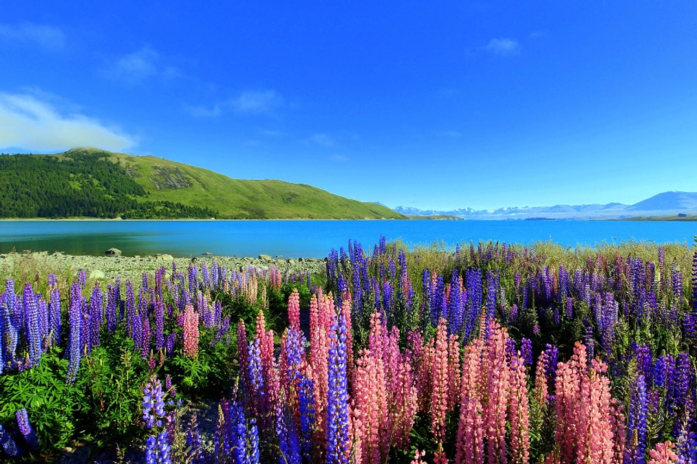 Day19  主体的に動く力を育む教育とは？