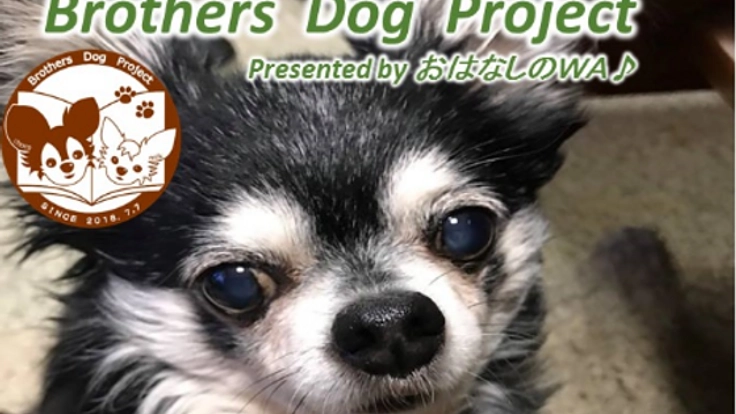 西日本豪雨災害を後世に伝えるため、兄弟犬の実話を絵本にしたい