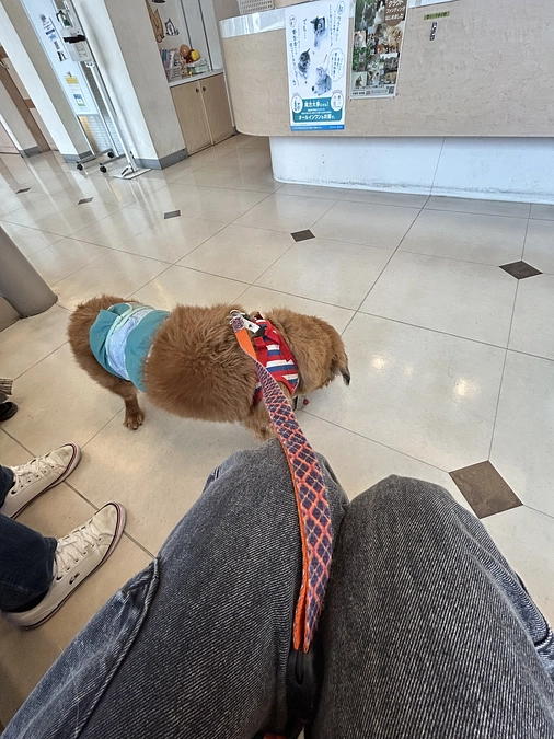 病院に行ってきました