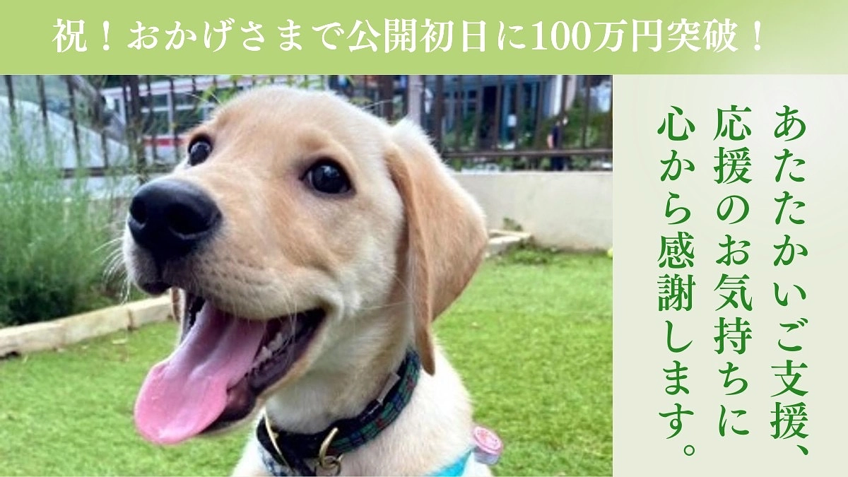 【クラウドファンディングスタートしました！】初日の100万円突破に感謝！