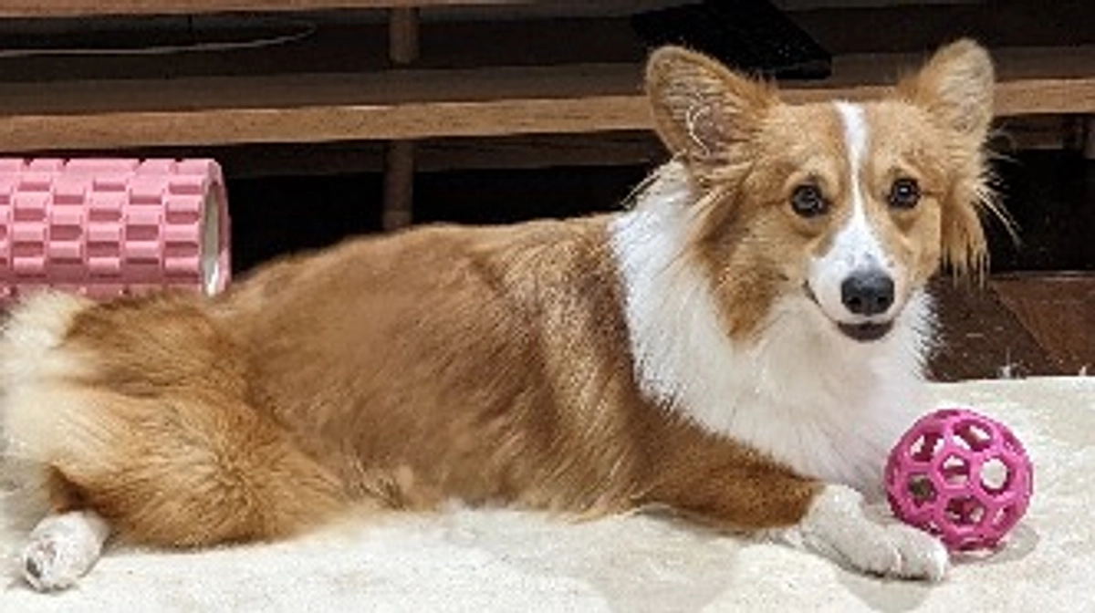 抜糸してきました✂✨