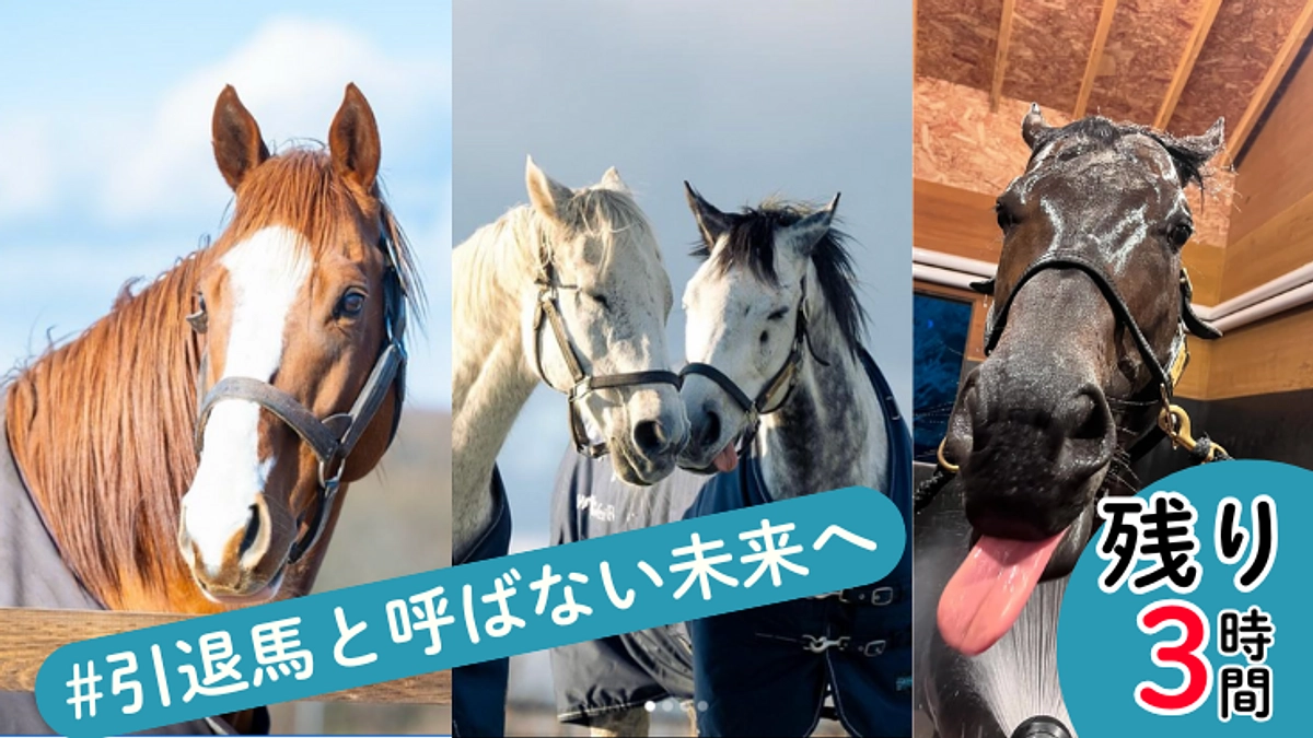 いよいよ終了まで残り3時間！最後のお願いです！！