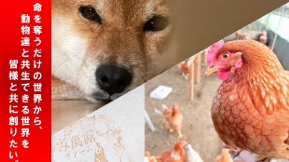 残り4時間！本日最後の投稿