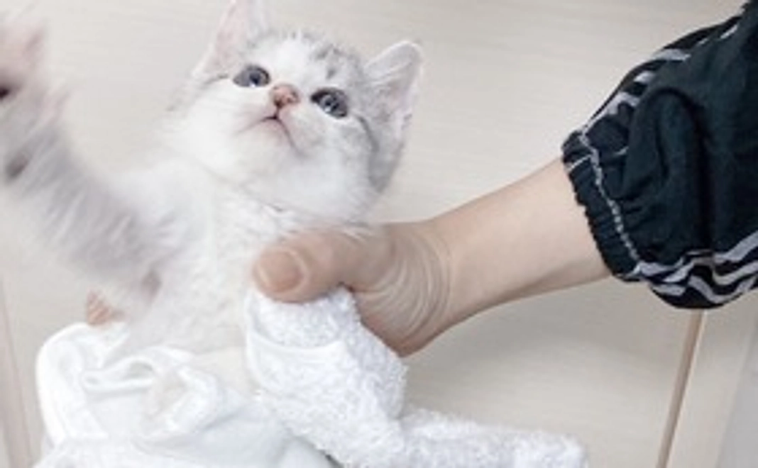 頑張れ はる!(2)