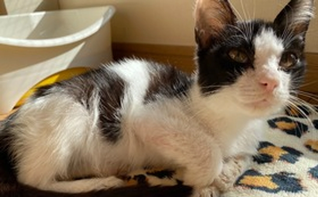 写真付き（1枚）のお礼のメール