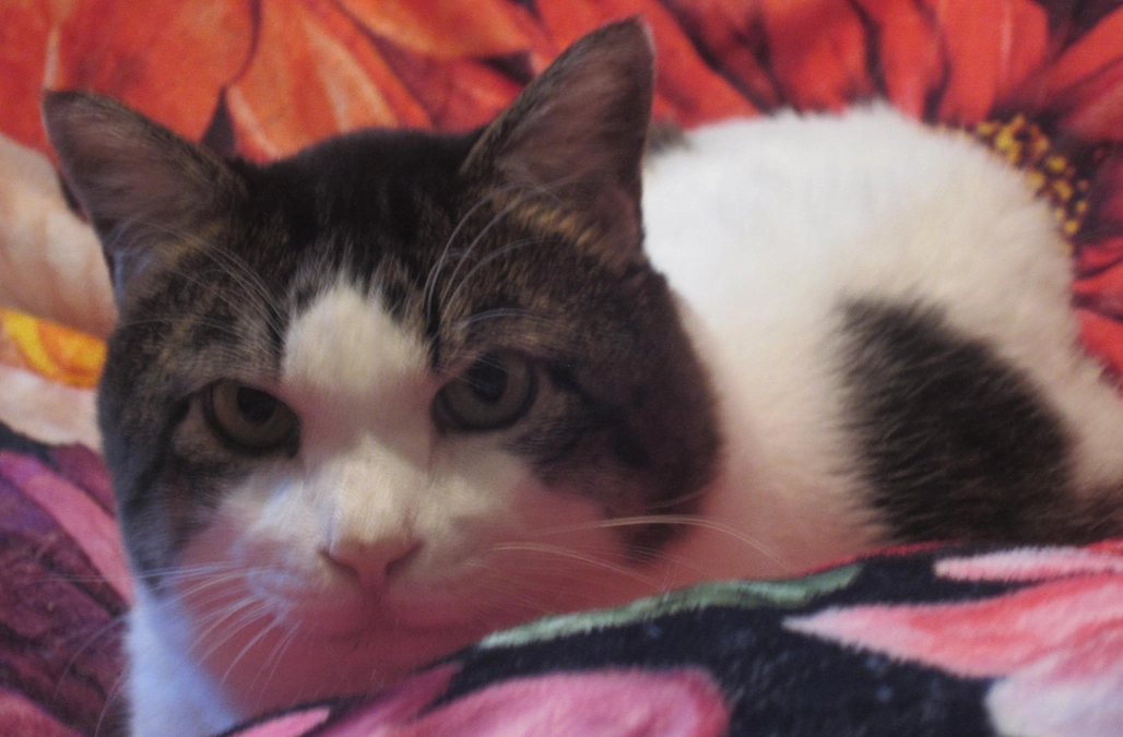 ご支援ご協力をいただき心からお礼申し上げます