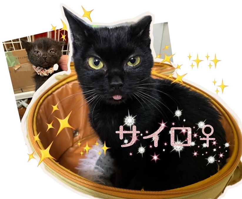 口腔ケア【サイロ】デンタルドネーションのご報告