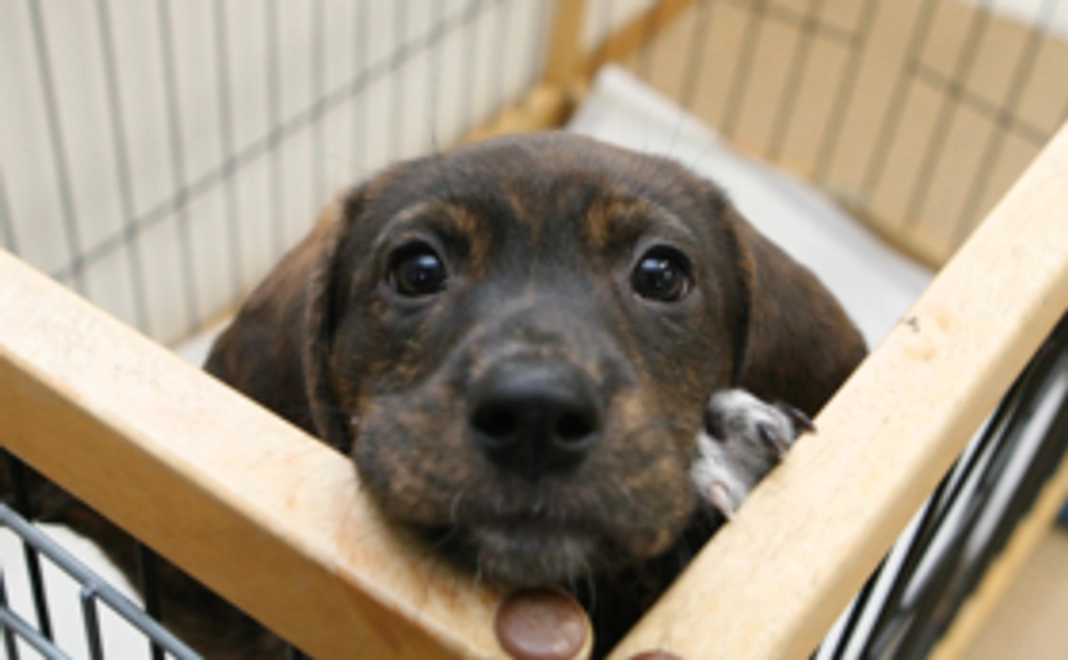 全額支援コース(1万円)