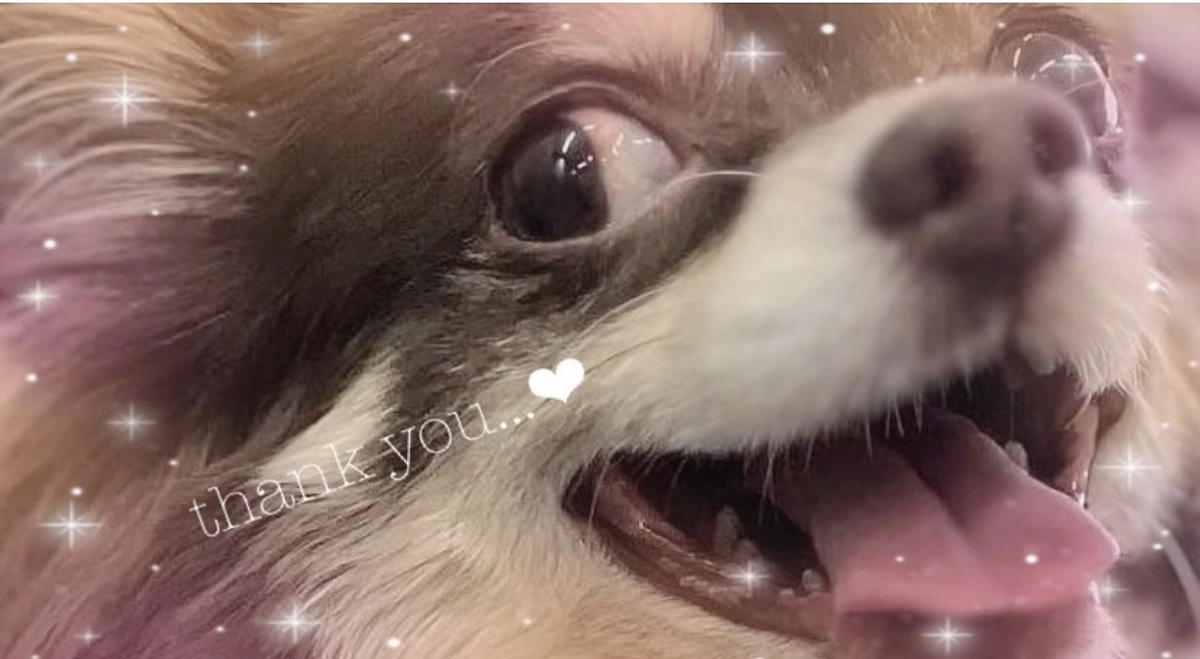 【 代理支援 】について