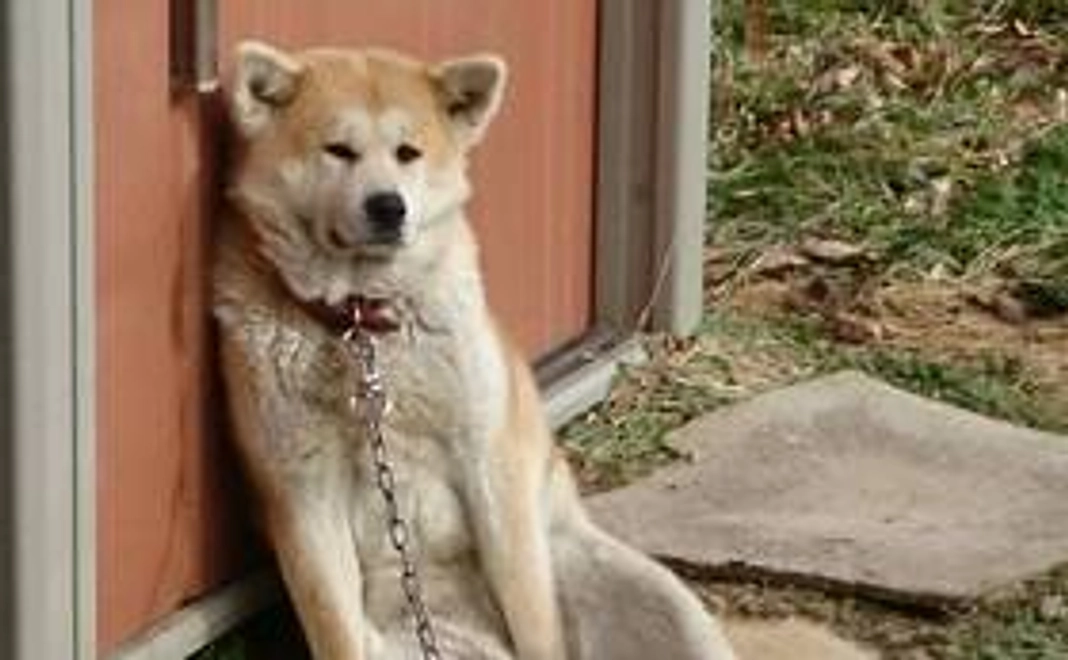 ハル応援コース②