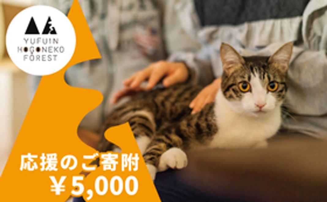 応援のご寄付│5000円