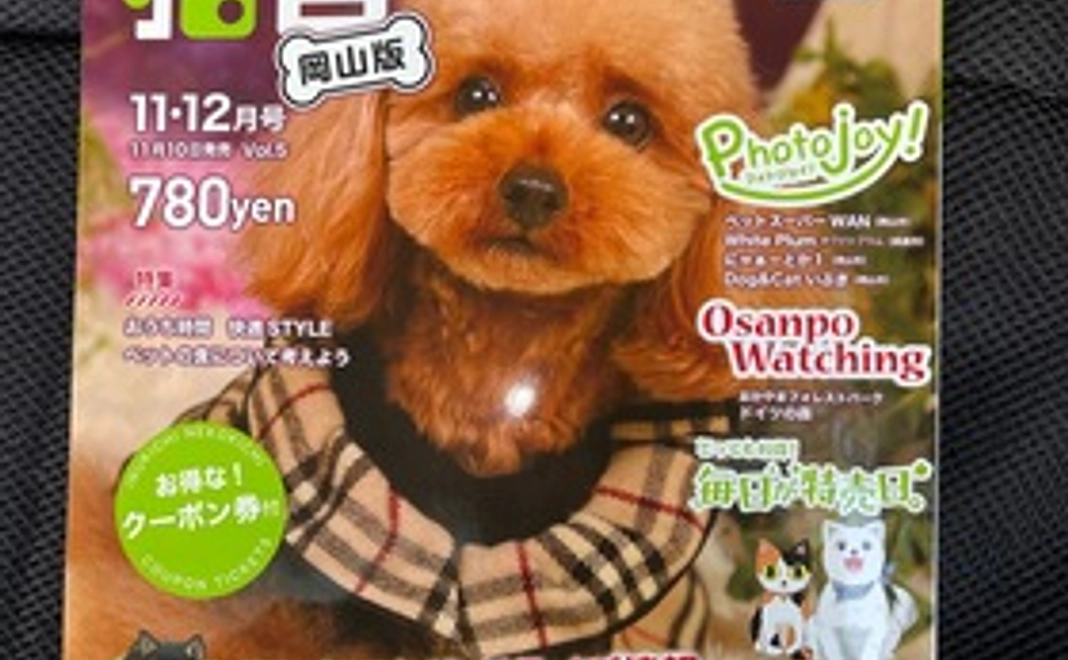 愛犬と爽やかキャンプ