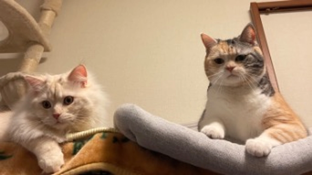 今日のトキ☀️⛄️