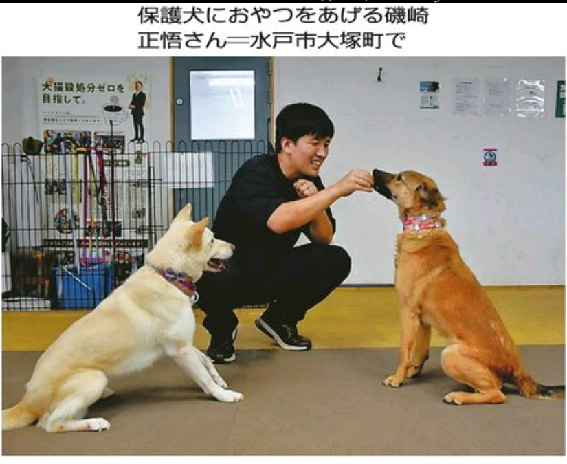 毎日新聞に載せて頂きました！