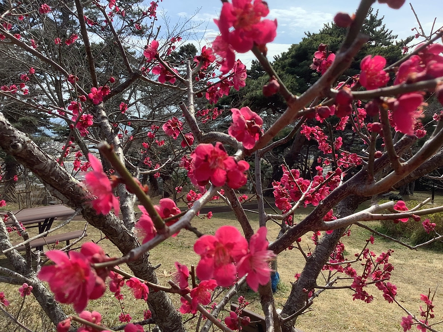 ママから嬉しいメッセージが届きました。
