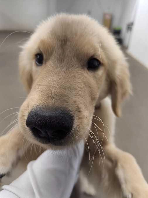 １０月活動報告🌸今月もたくさんの出会いと感謝を込めて🌸