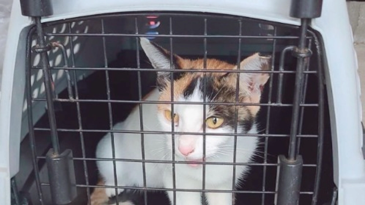 たくさんのご支援・応援ありがとうございました✨