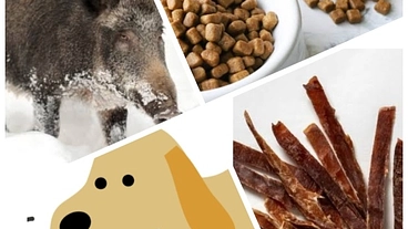愛犬家の方々や共感できる方！害獣である猪から良質なドッグフードへ のトップ画像