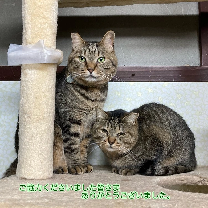 ４月継続支援収支報告