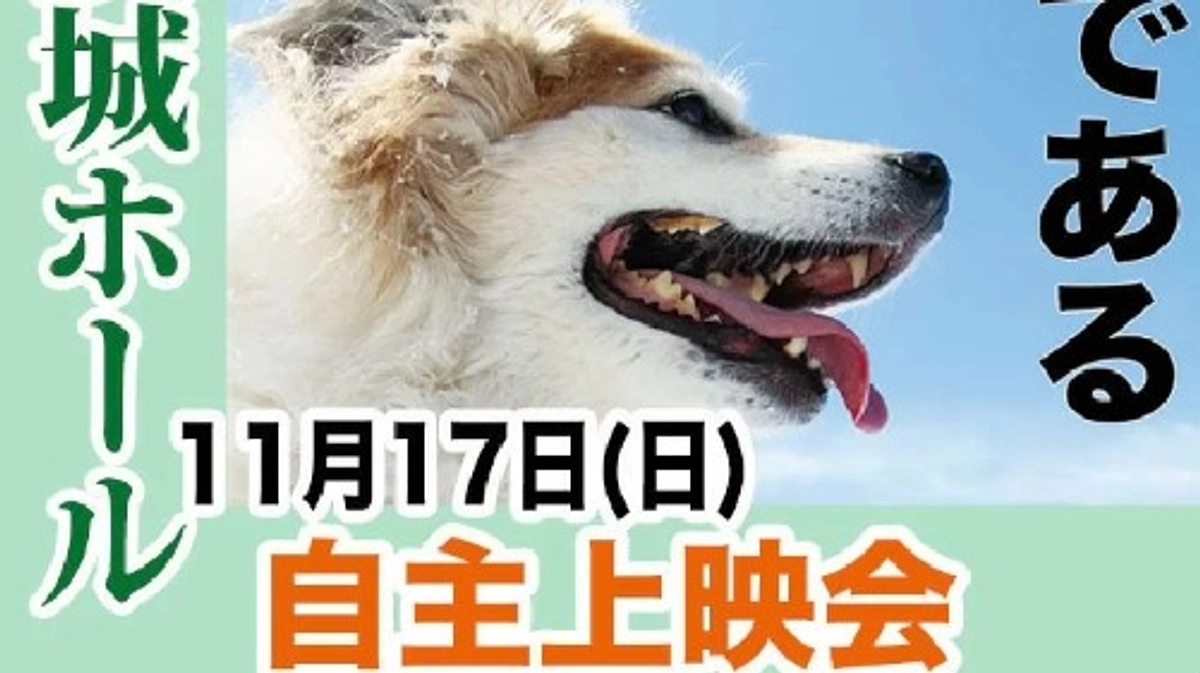 映画『吾輩は保護犬である』の自主上映会を行います！！