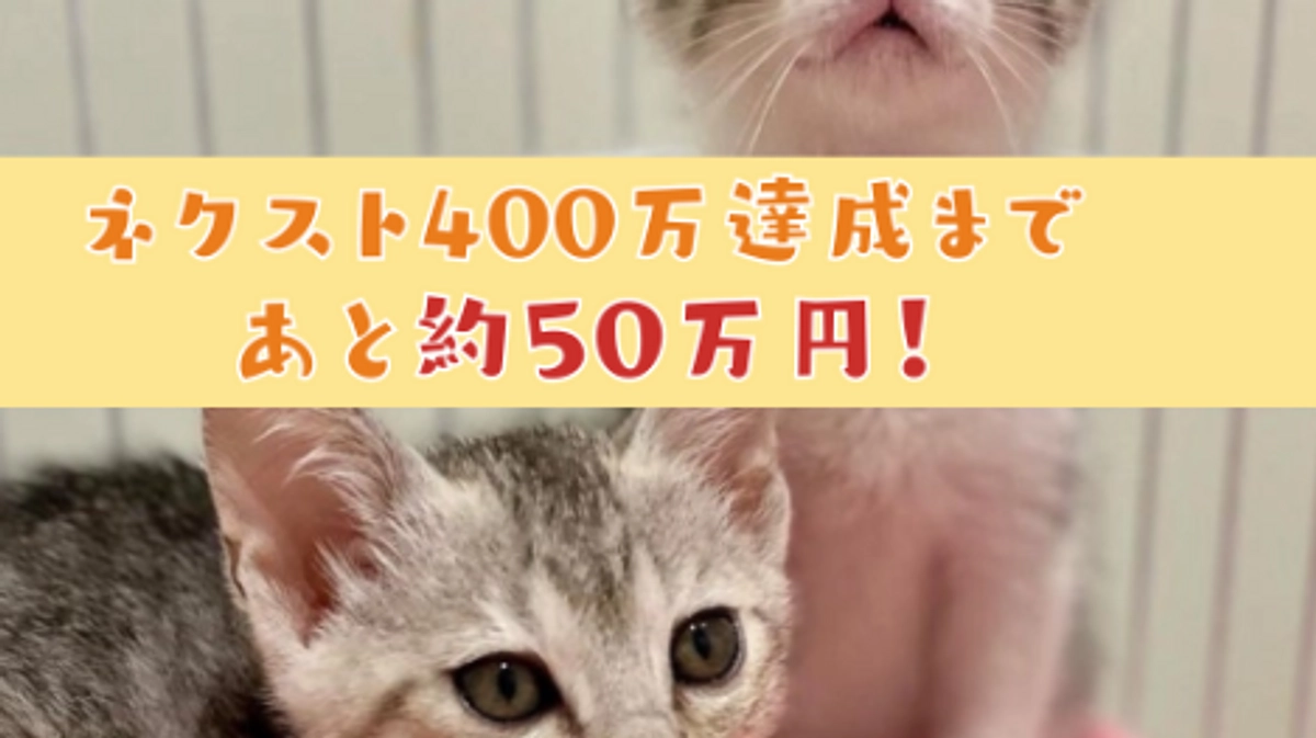 【終了まであと7時間！ 】ここまでどうもありがとうございます！！