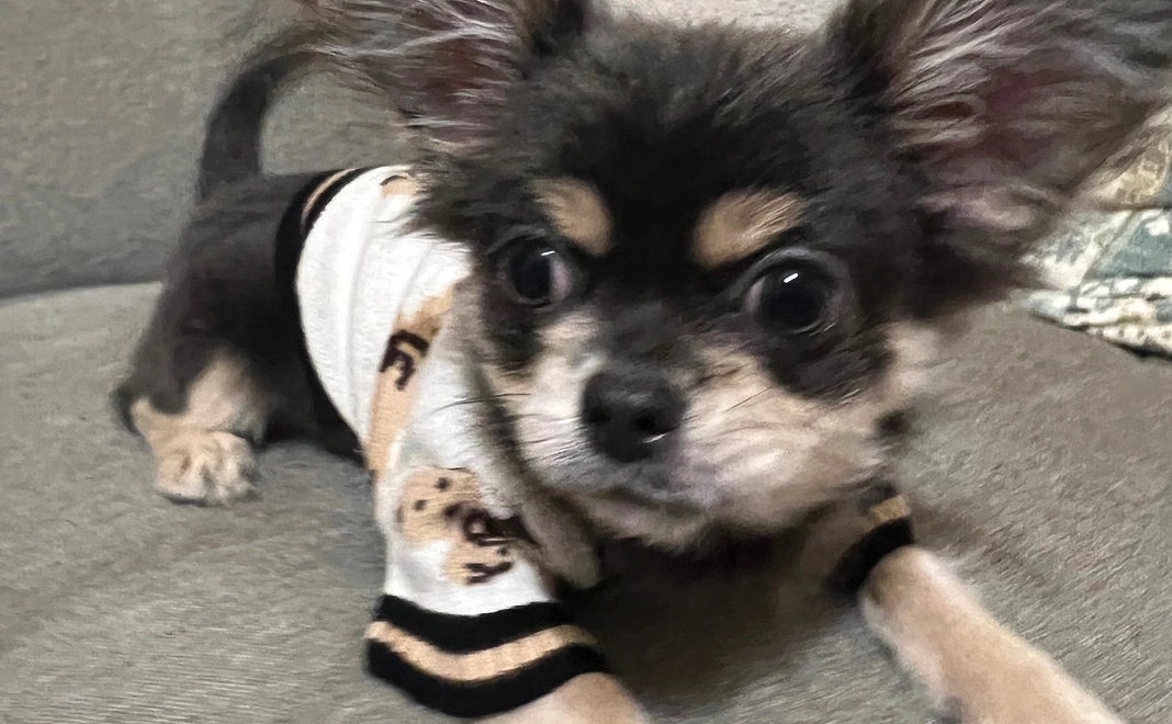 ありがとうございます 2