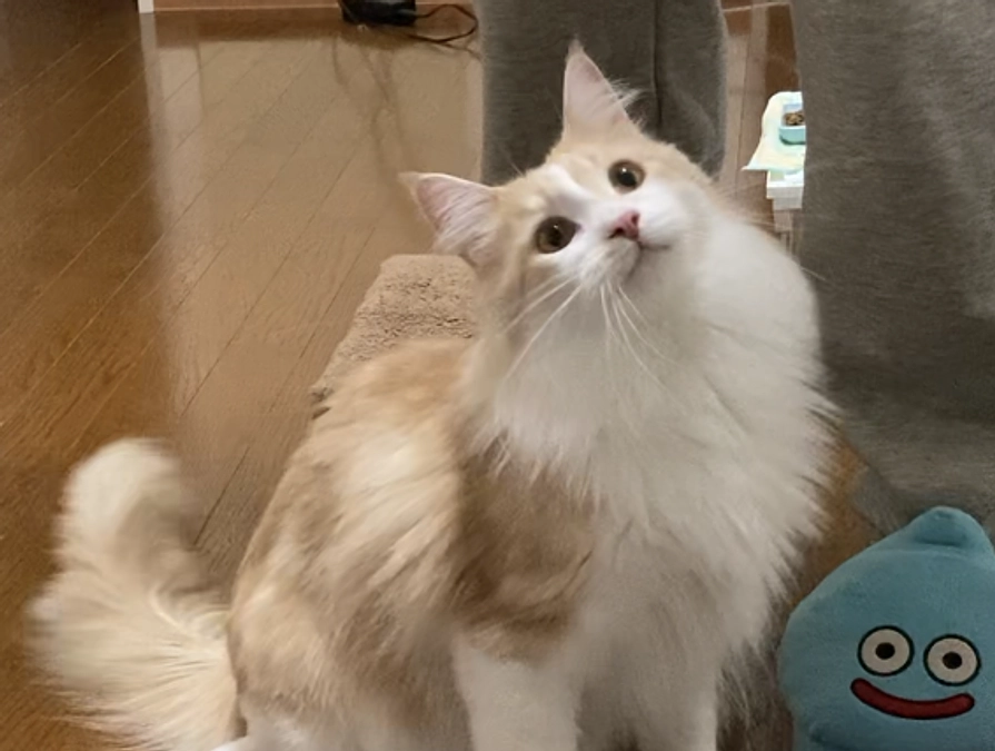 1/5経過観察51日目