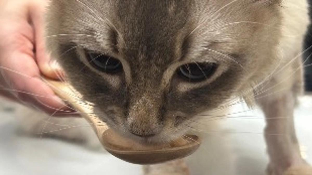 面会にいってきました