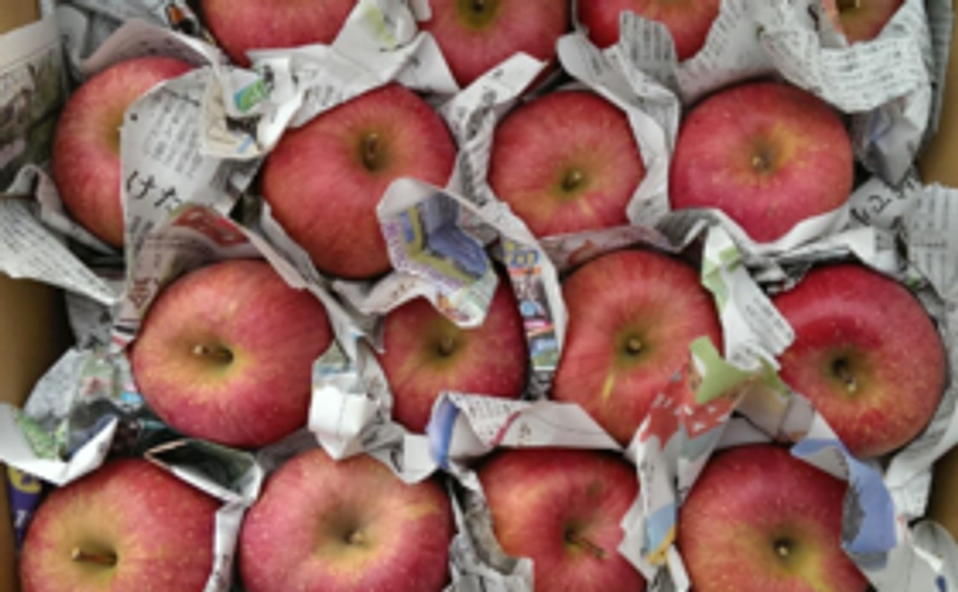 【家庭用・約5㎏】サンふじをお届けします！