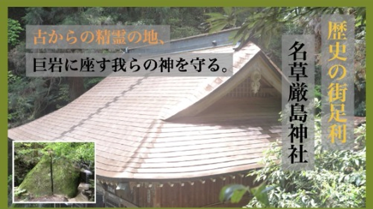 チラシ配り体験記