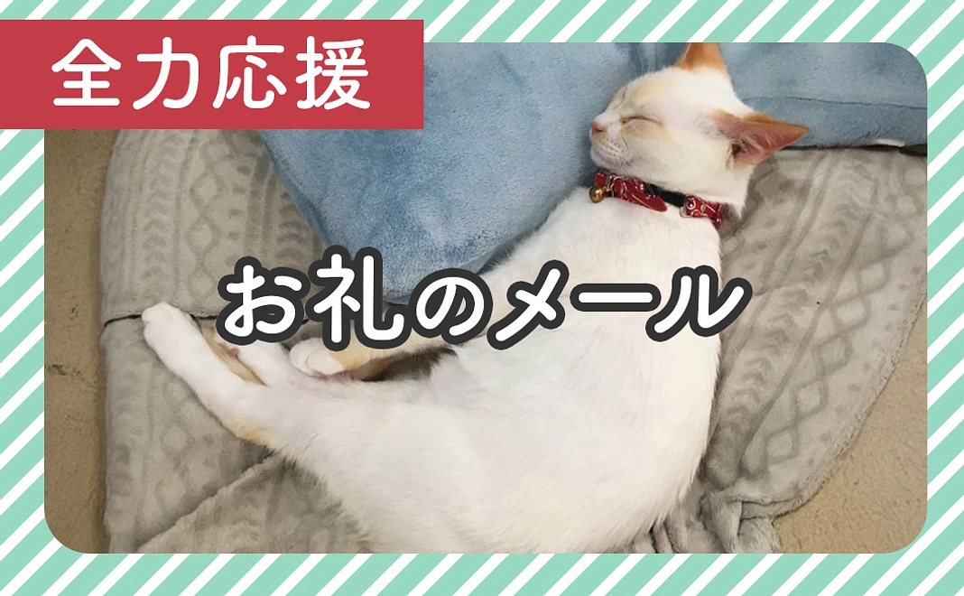 全力応援2,000円：お礼のメール