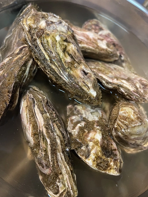 大変お待たせ致しました！返礼品をお送りさせていただいております