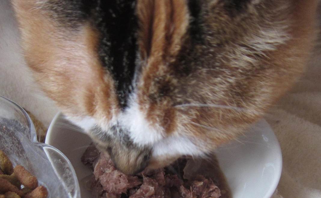 1000円コース／感謝のメール送信