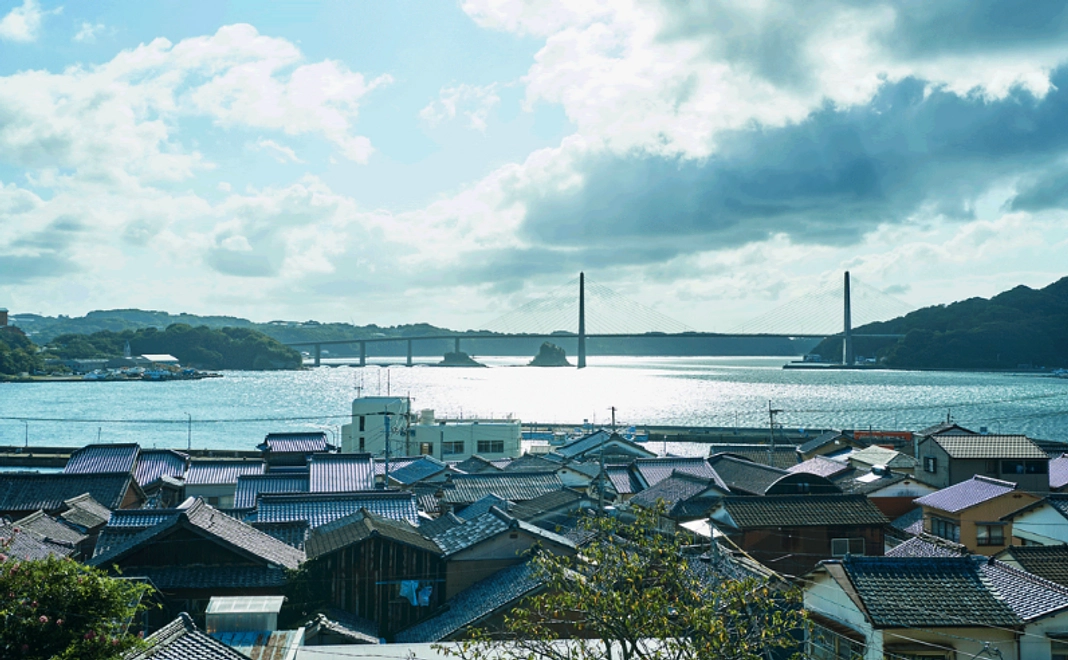 純粋応援|1万円