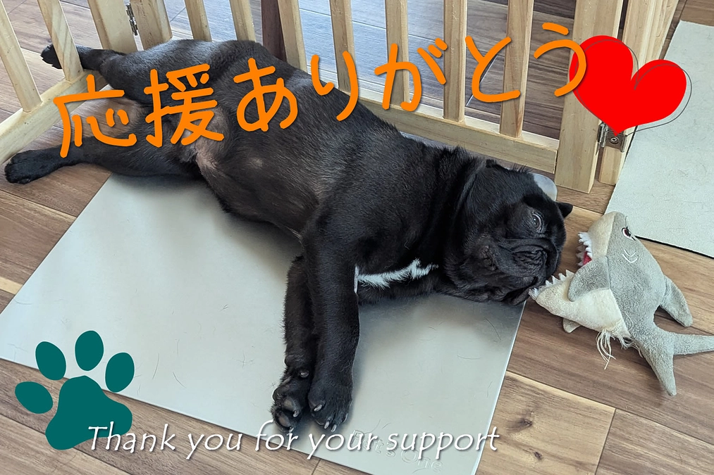 応援ありがとう《お昼寝中》