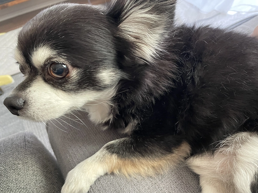 残り１１日　達成率４８％