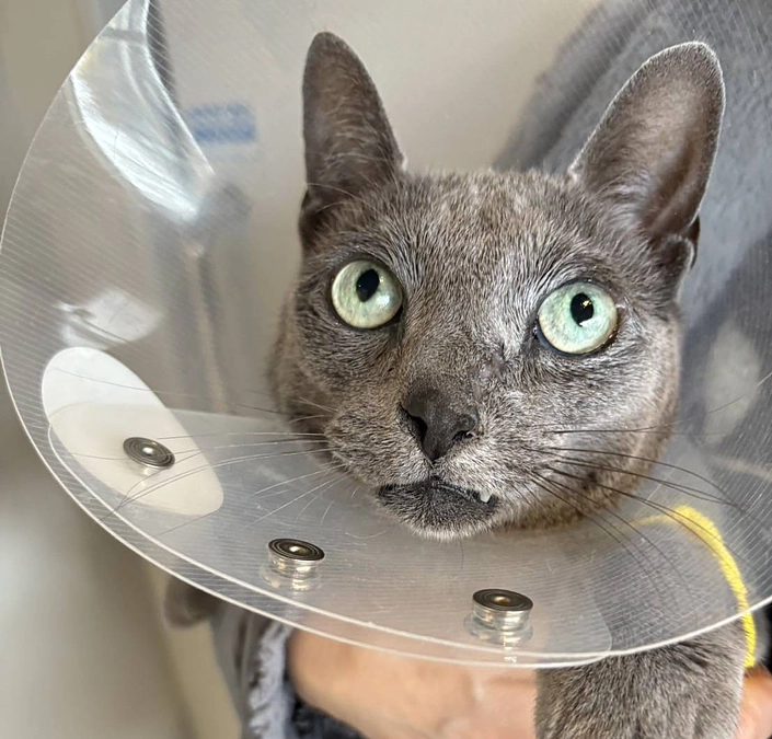 放射線治療が今日も無事に終わりました。