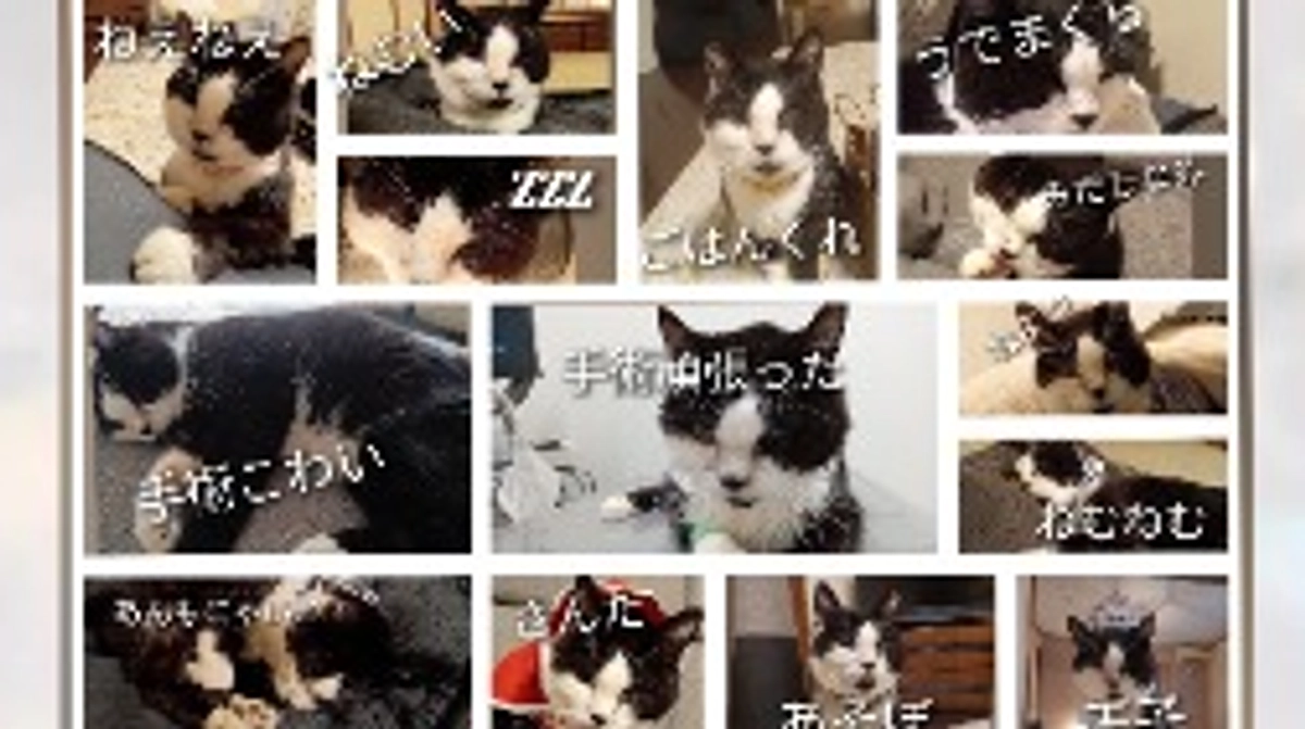 たくさんの元気と勇気をありがとうございました✨